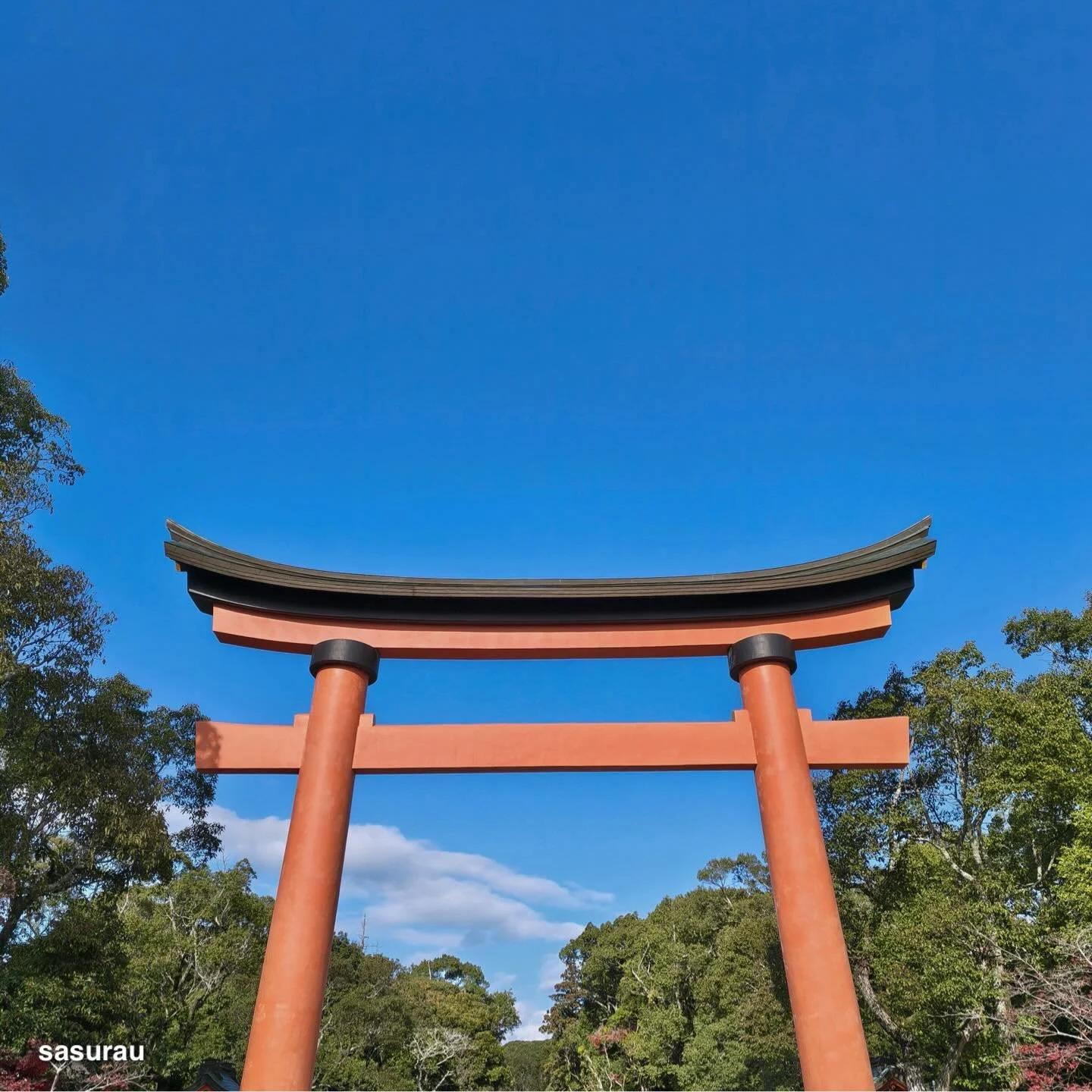 USA。 #M08 #fcnt #arrowsgtapher