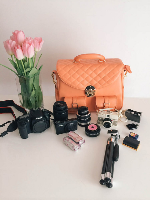 In my camera bag- Canon 70D , 18mm lens , Lensbaby , Powershot S95 , extra film, pancake lens , Diana camera , mini tripod, extra SD cards, extra battery, light bounce and SD card reader. I also fit my iPad Mini in the back pocket. So much room!