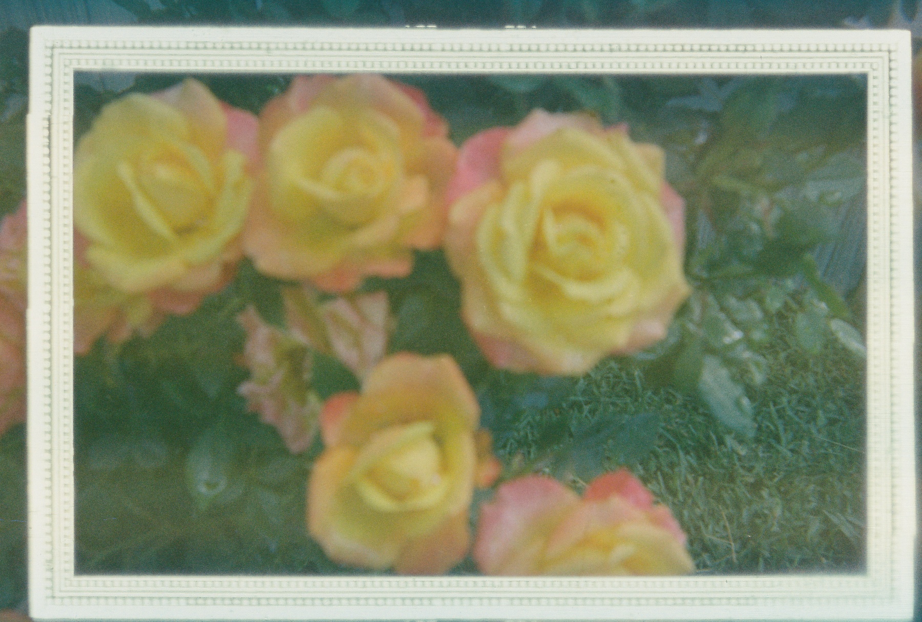 R1-01824-0000.jpg