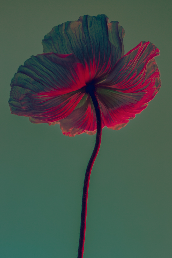 Screen Shot 2018-03-09 at 8.55.22 AM.png