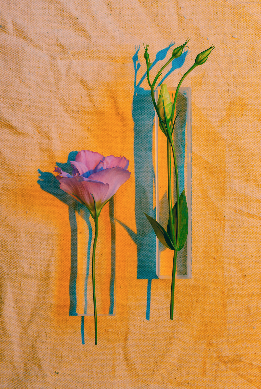 Screen Shot 2018-07-22 at 9.19.57 AM.png