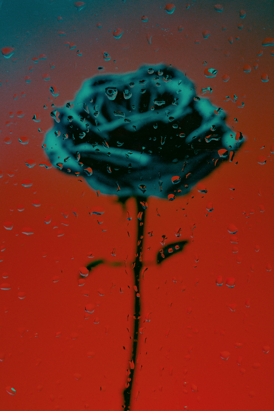 Screen Shot 2018-07-25 at 10.55.20 AM.png