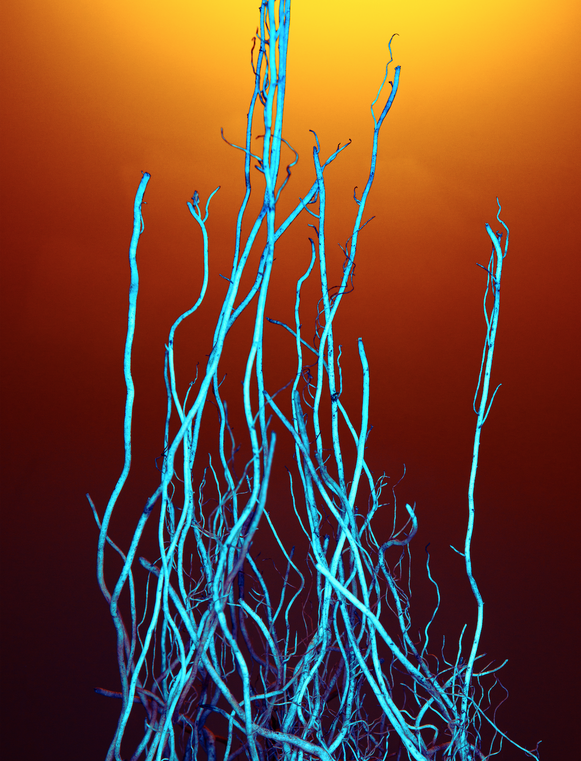 Screen Shot 2018-10-08 at 11.18.32 PM.png