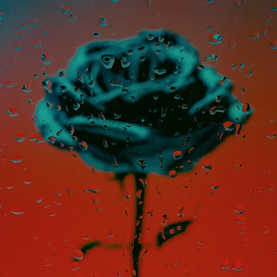 On Self-Assignments and Getting Discovered