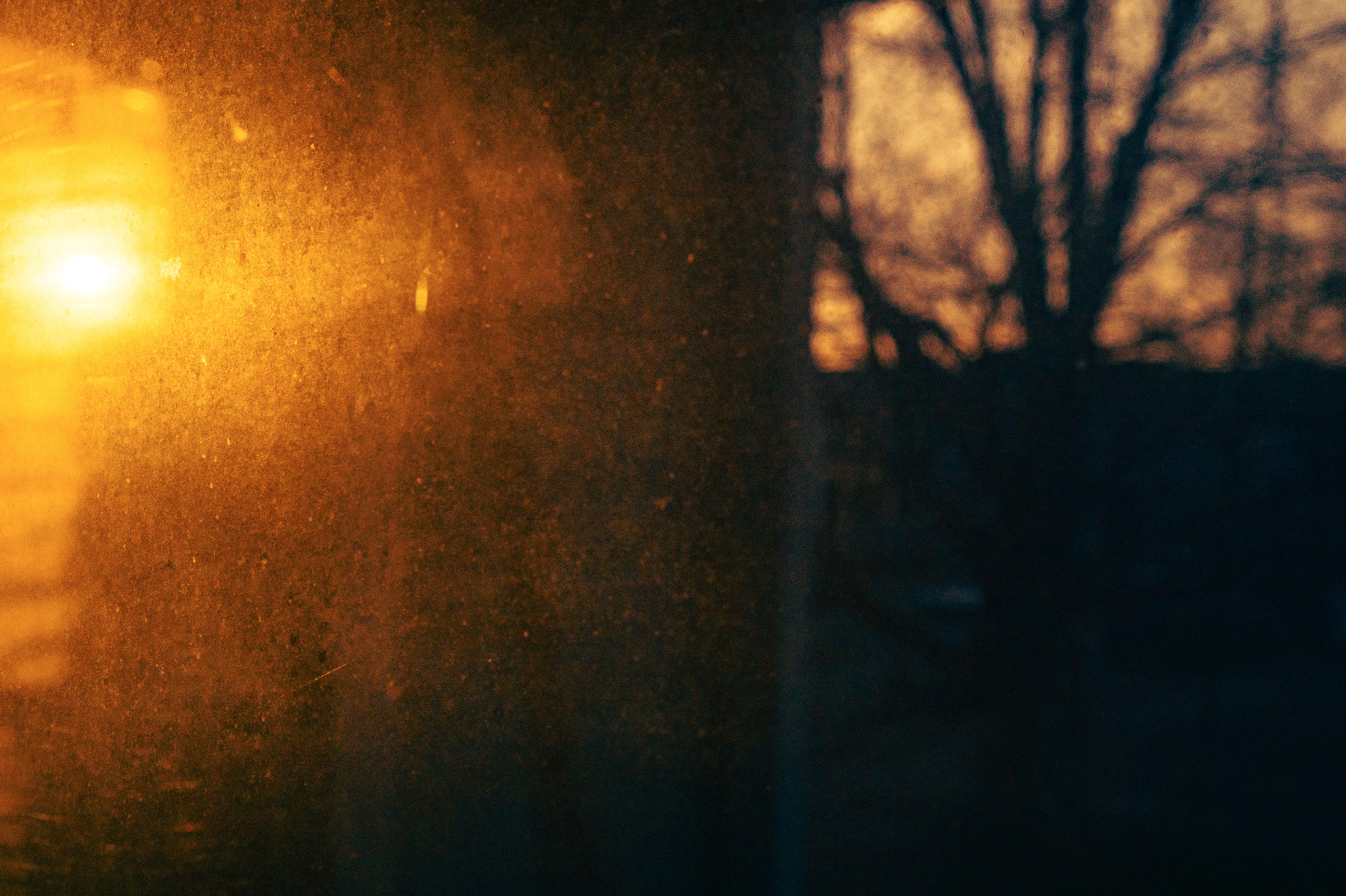 Seasonal Affective Disorder and Hunting For Light