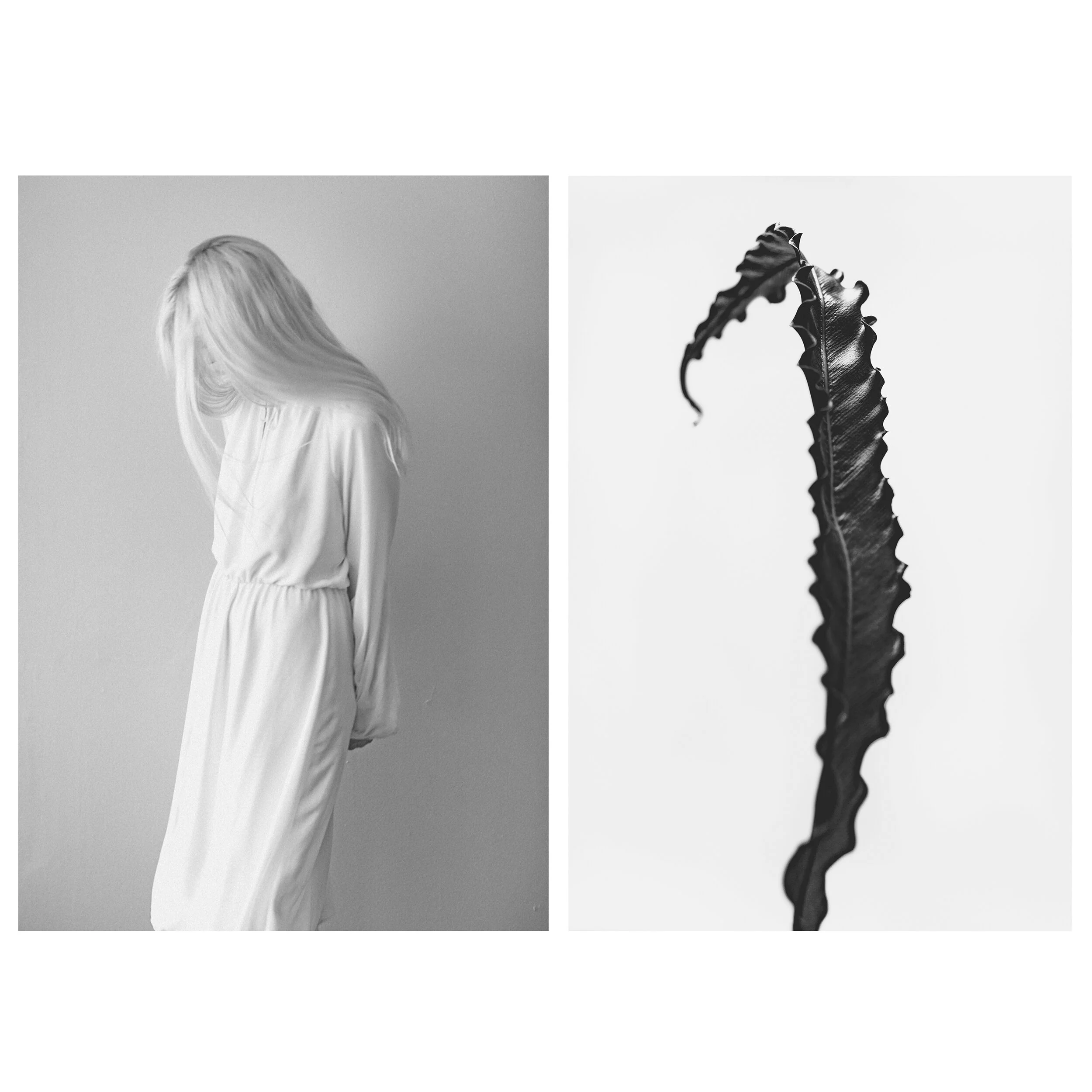 Photographic Mimics: Diptychs of People and Nature 