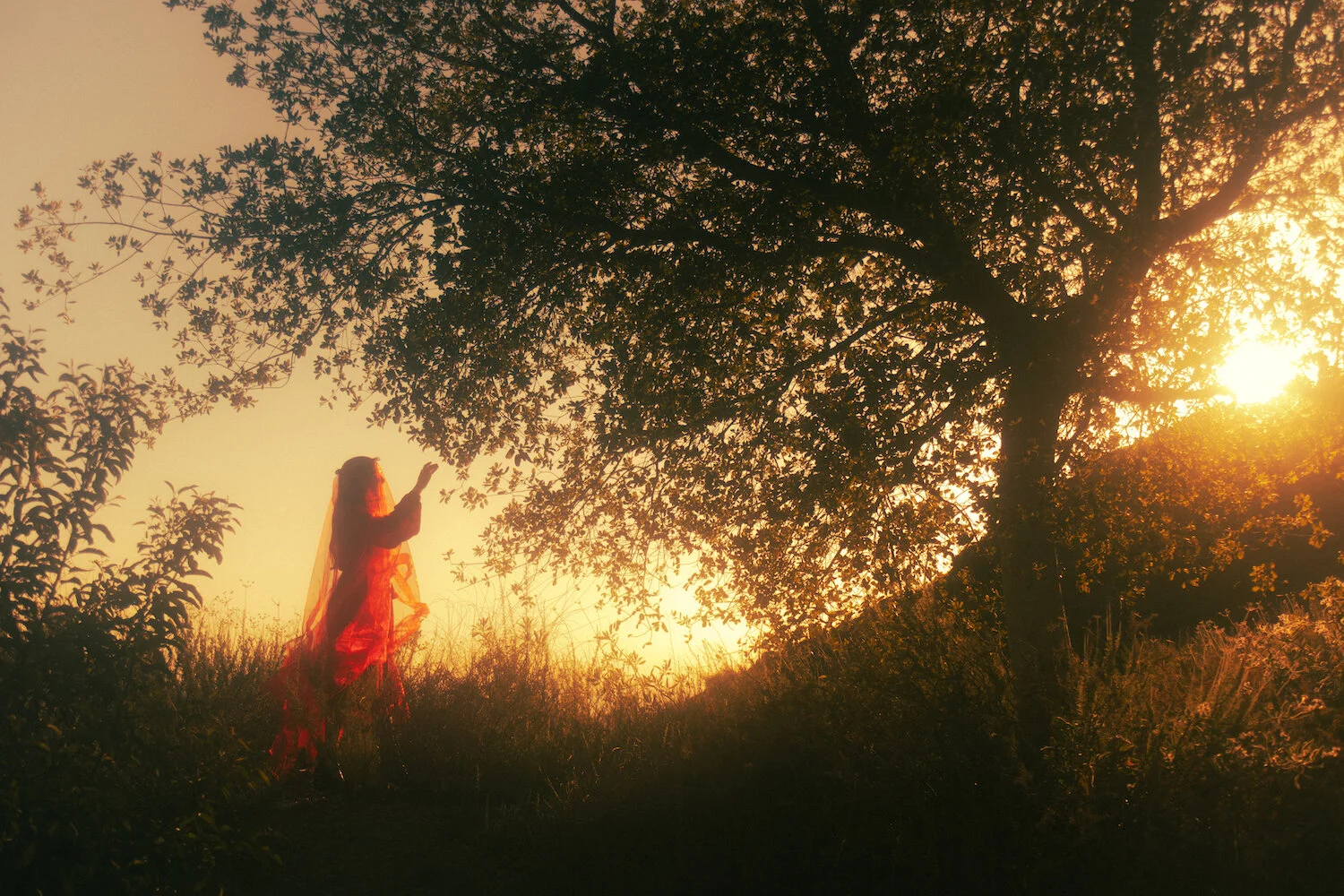 Dreamy Shoot with Actress Aleksa Palladino