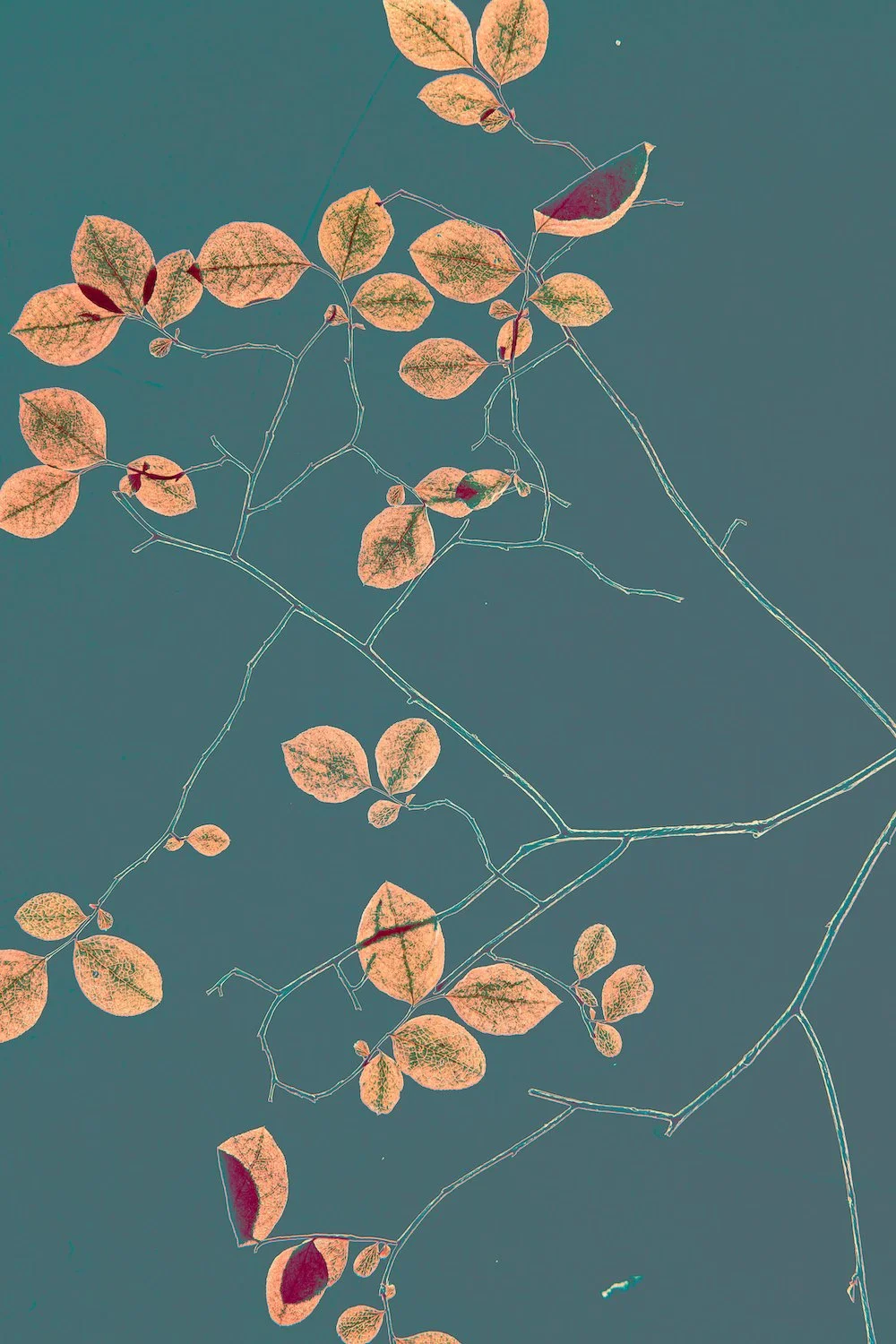 When is a Work of Art Finished and Other Creative Musings