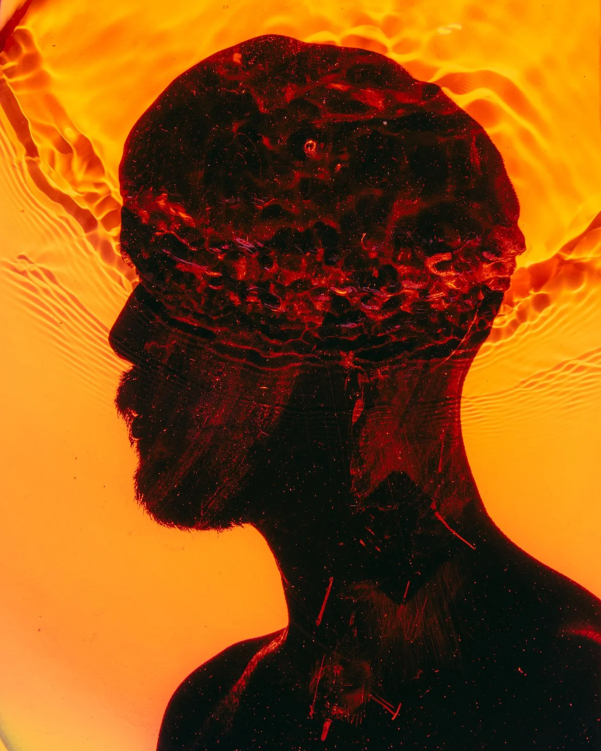 Facing My Shadow Self 