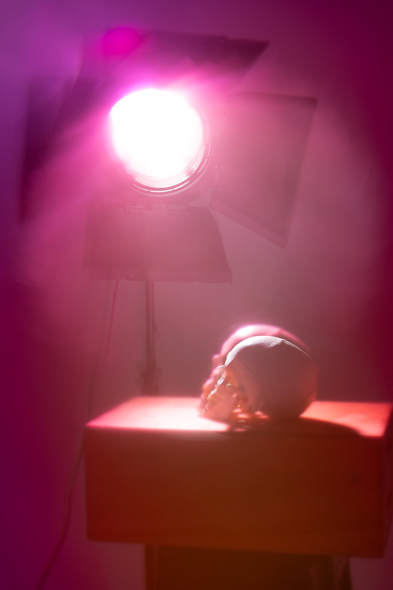 1Y1A8153.jpg
