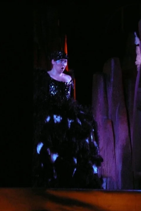 Magic Flute (Queen of the Night)