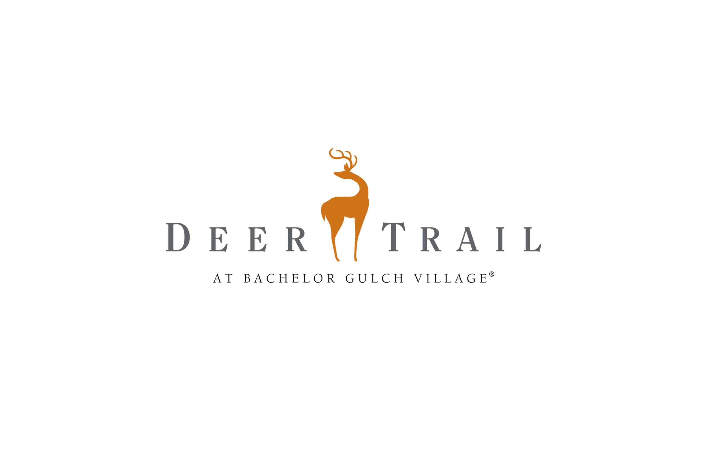 logo8.png