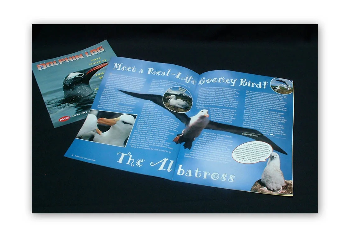 Dolphin Log Magazine spread