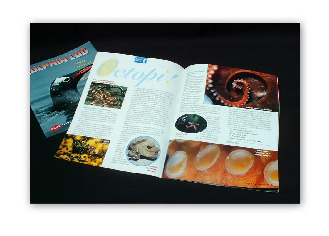 Dolphin Log Magazine spread
