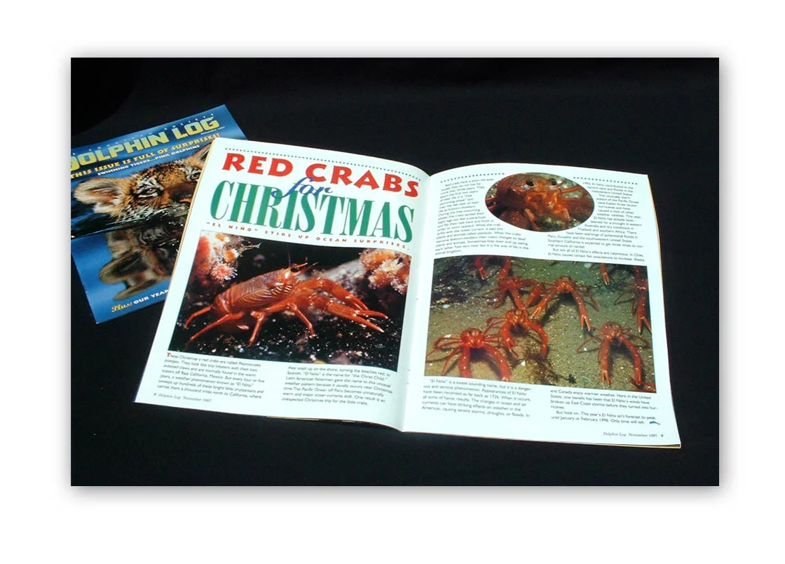 Dolphin Log Magazine Spread
