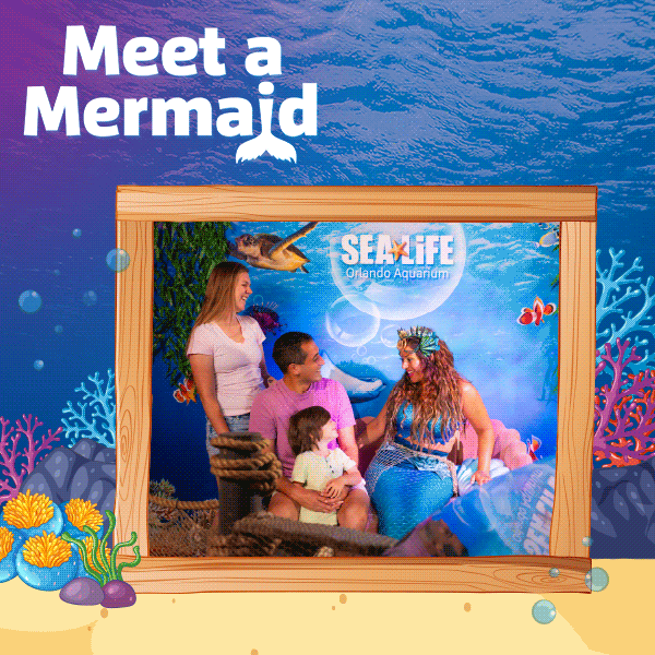 SLO_2025_Mermaids_EmailTop_r1.gif