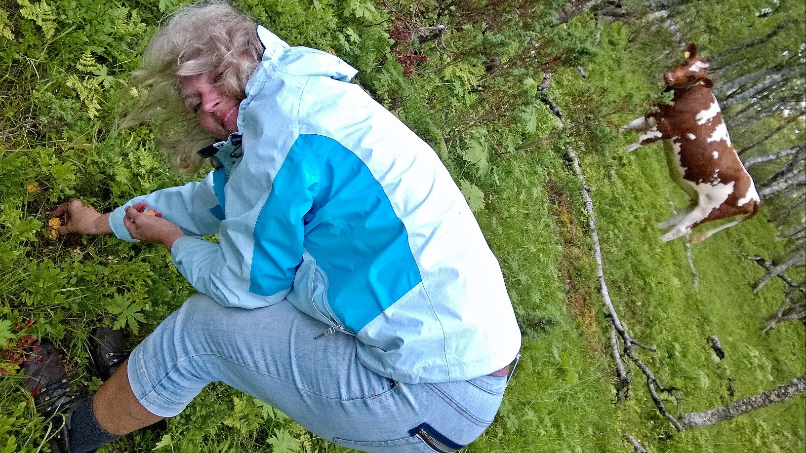 Fantasien som fast følgesvenn