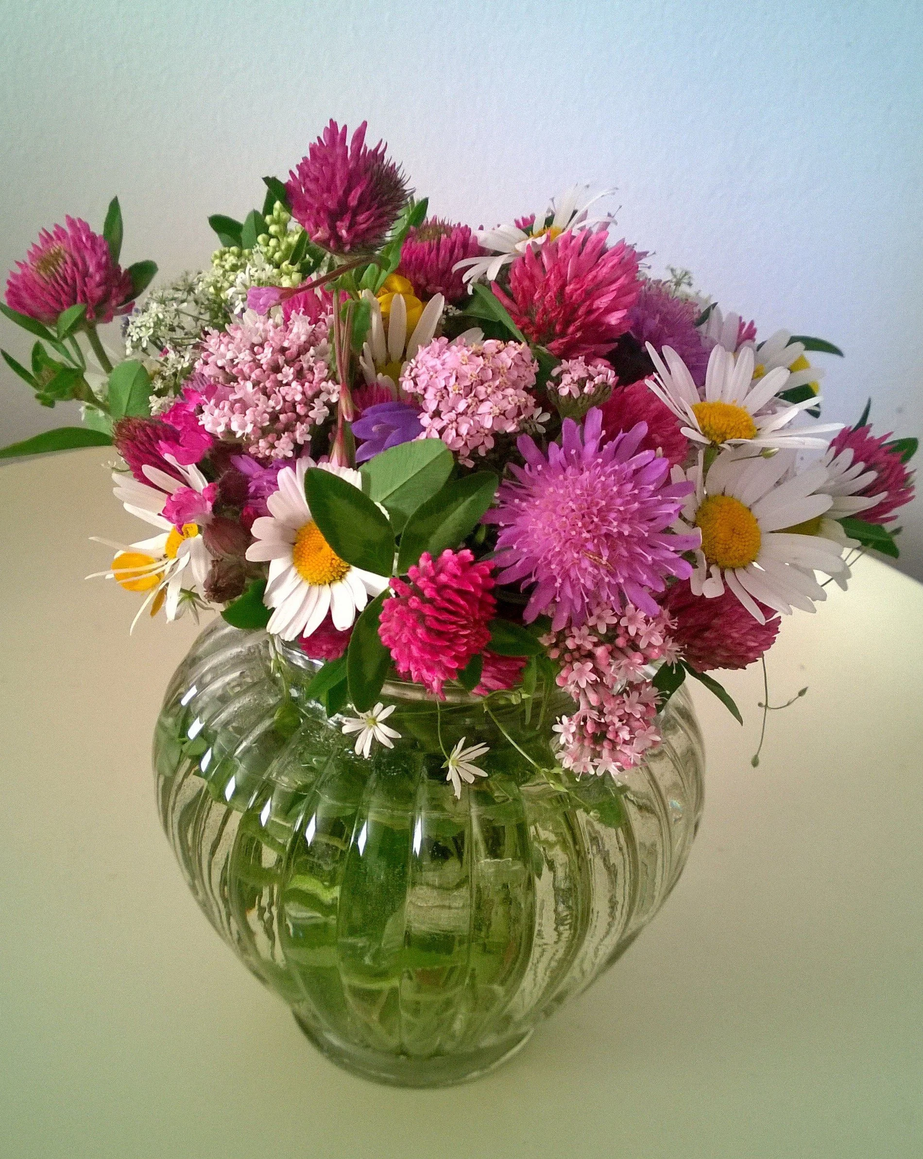 WP_20140629_21_14_07_Pro (1).jpg