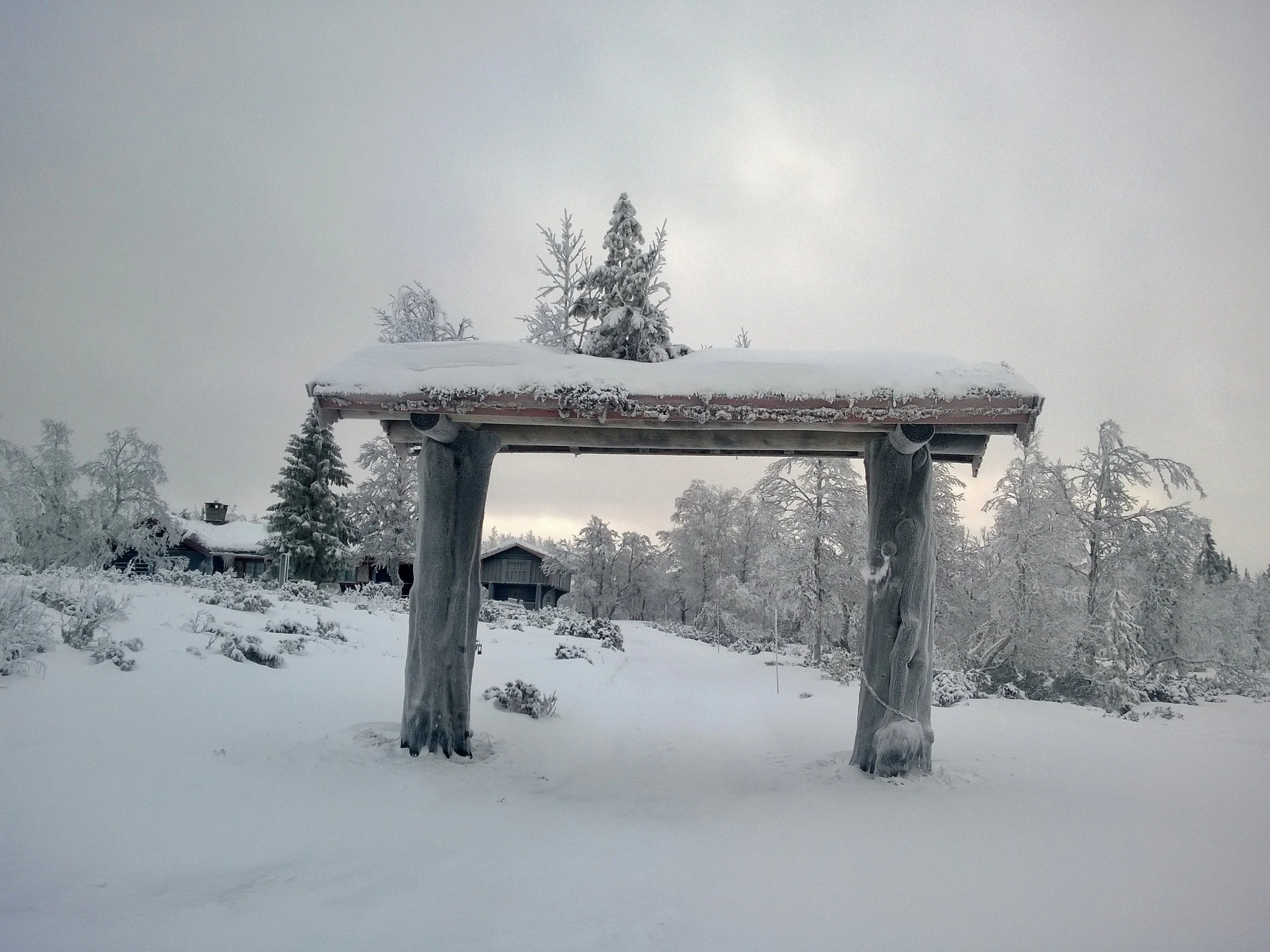 WP_20160101_11_15_25_Pro 1.jpg