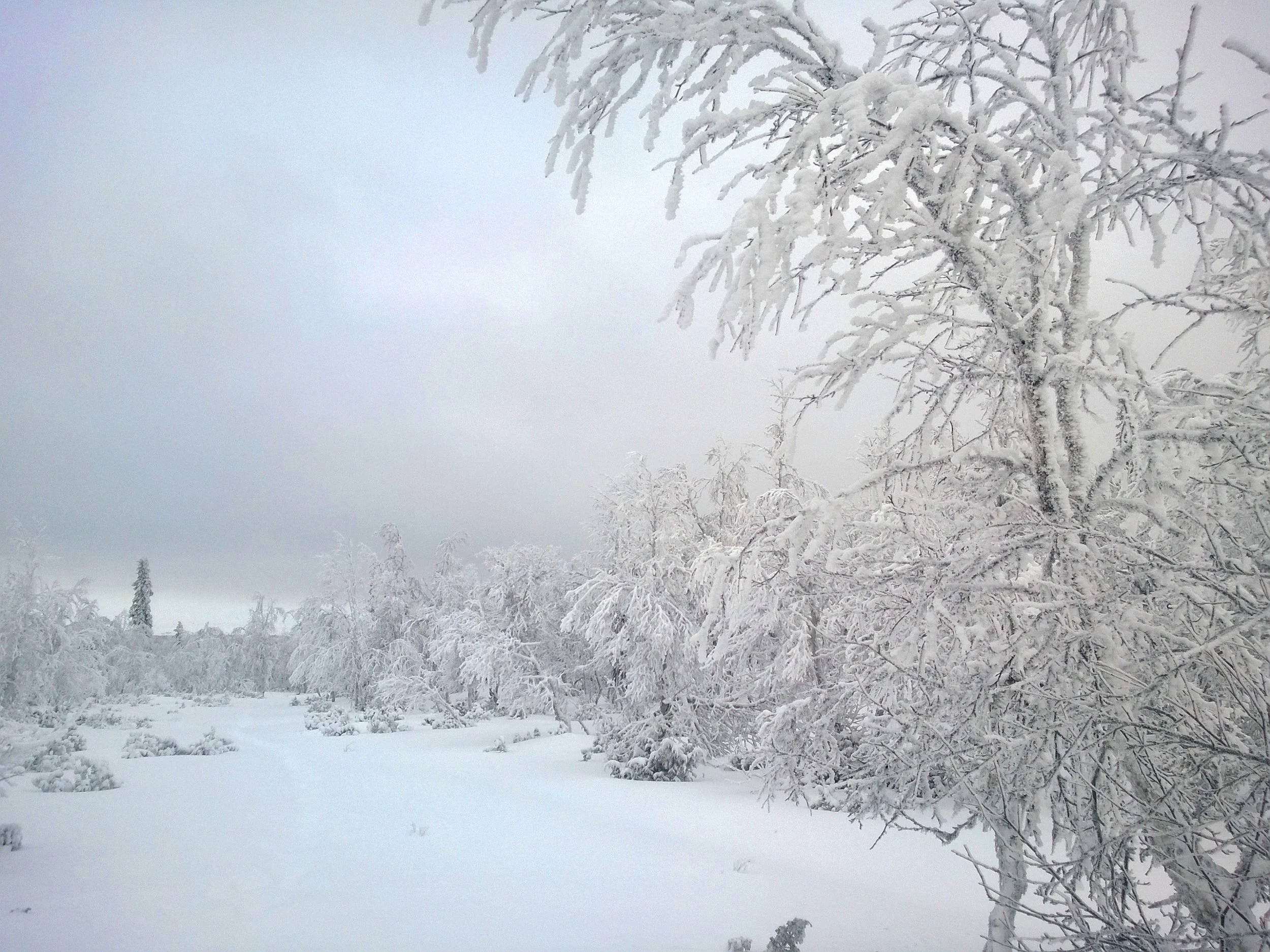 WP_20160101_11_16_49_Pro (2).jpg