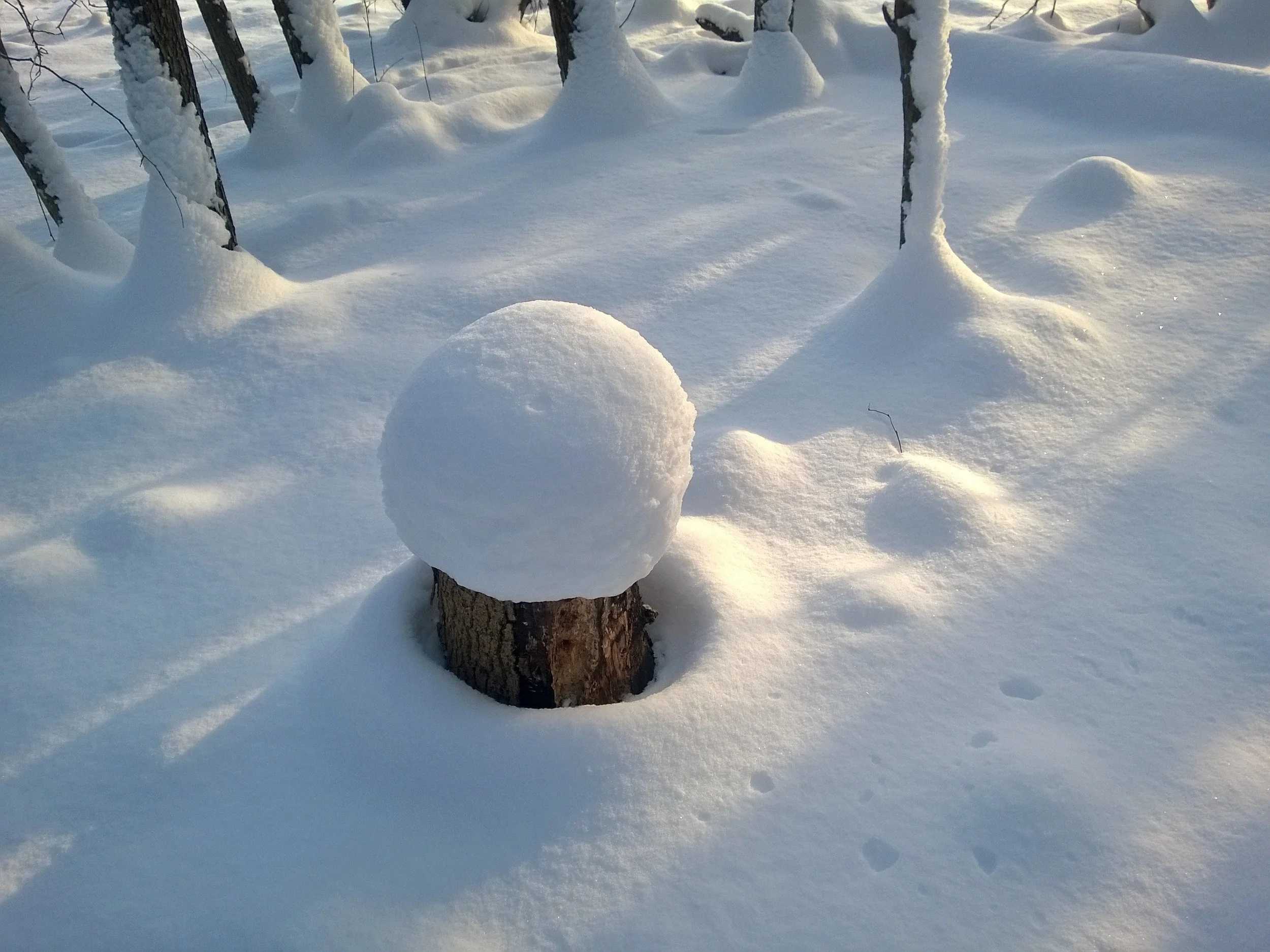 WP_20160116_12_22_17_Pro 1.jpg