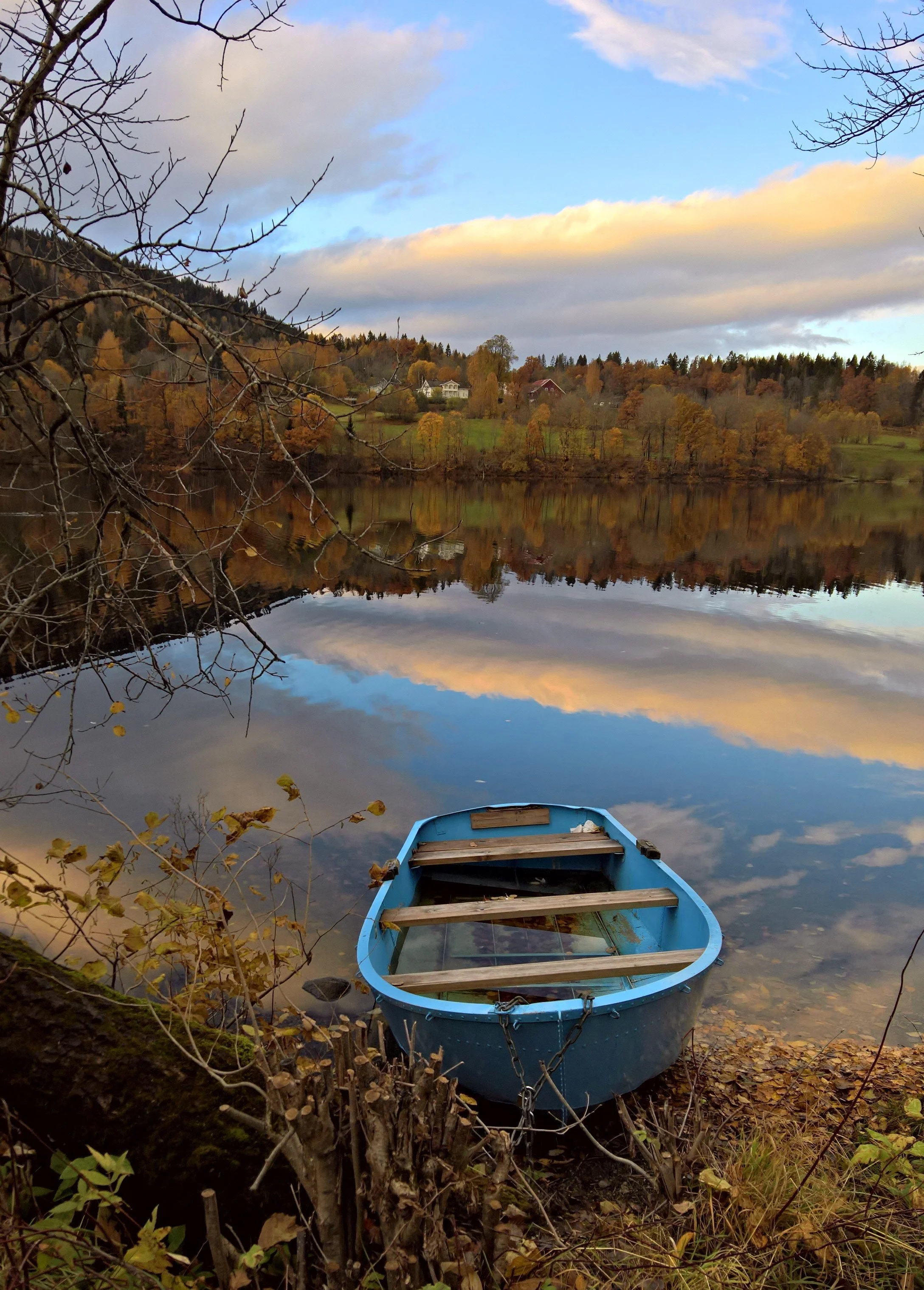 WP_20161027_16_39_18_Rich (3).jpg
