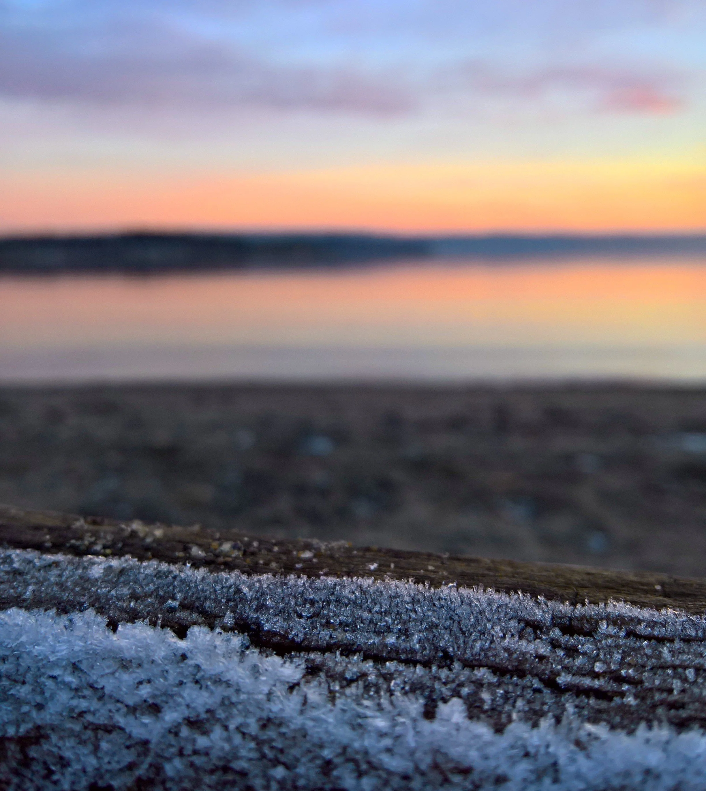 WP_20161204_15_24_12_Raw (3).jpg