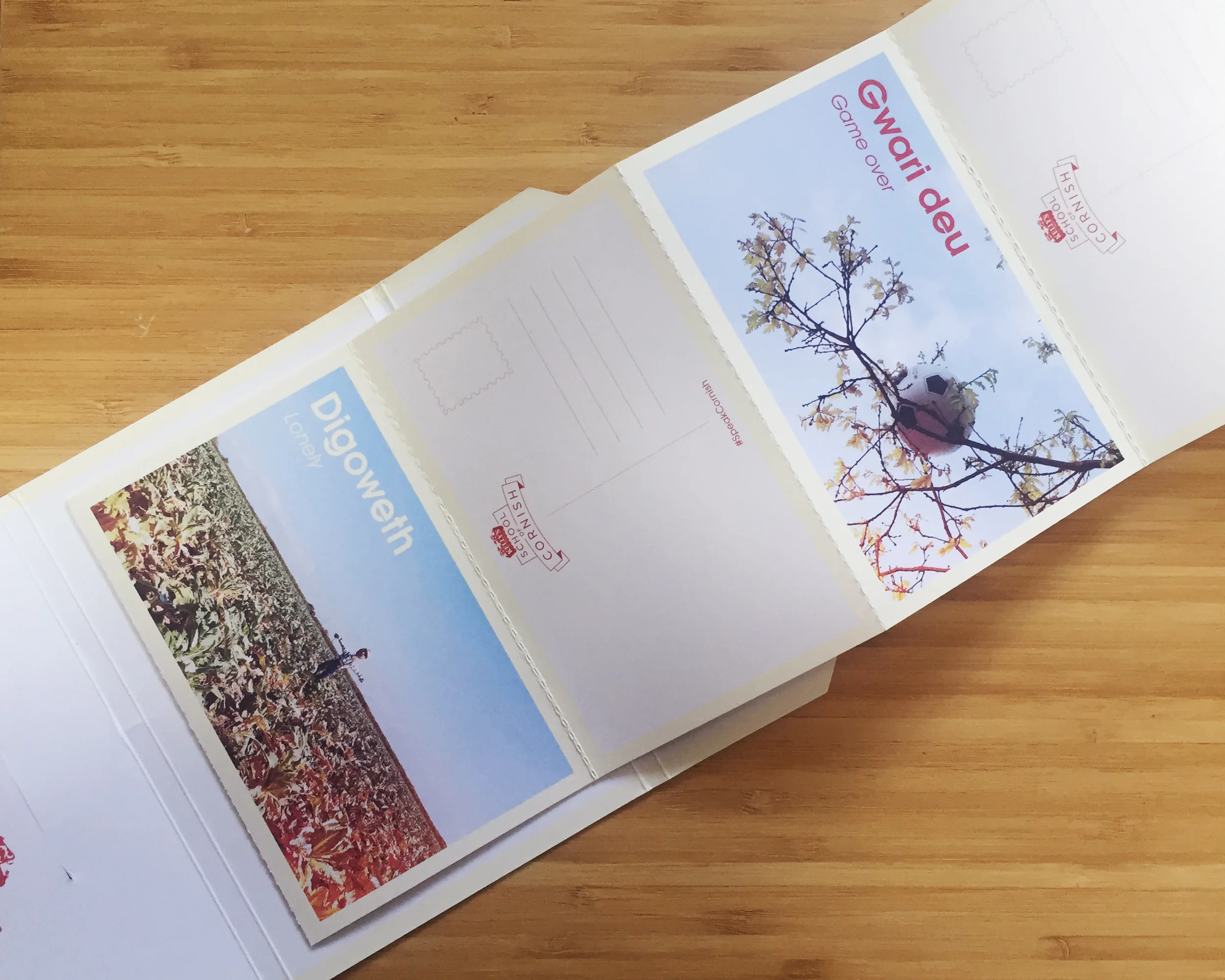 Postcards - Open.jpg