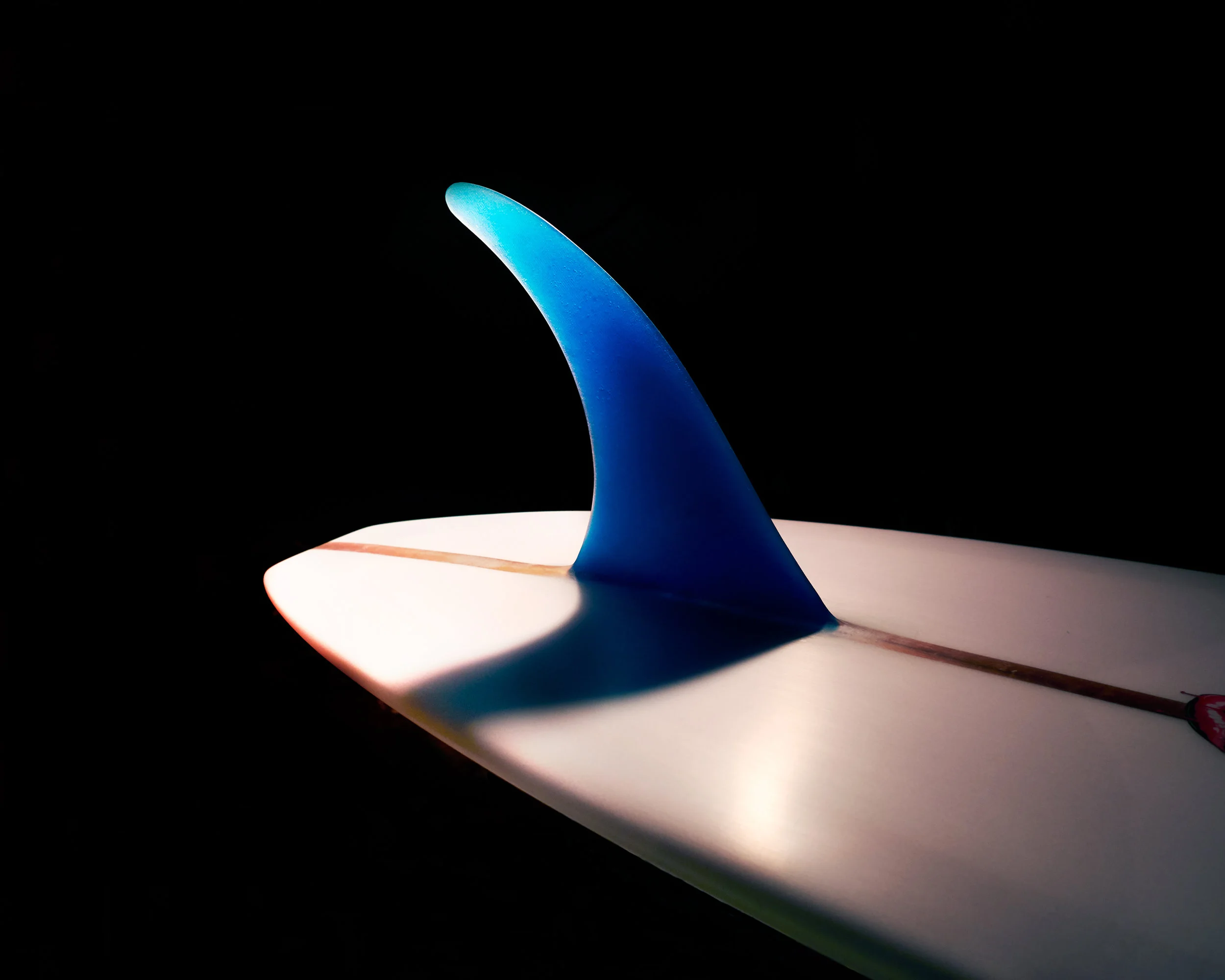 Sam - Fin no. 2.jpg