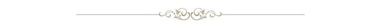 LineOrnament.png