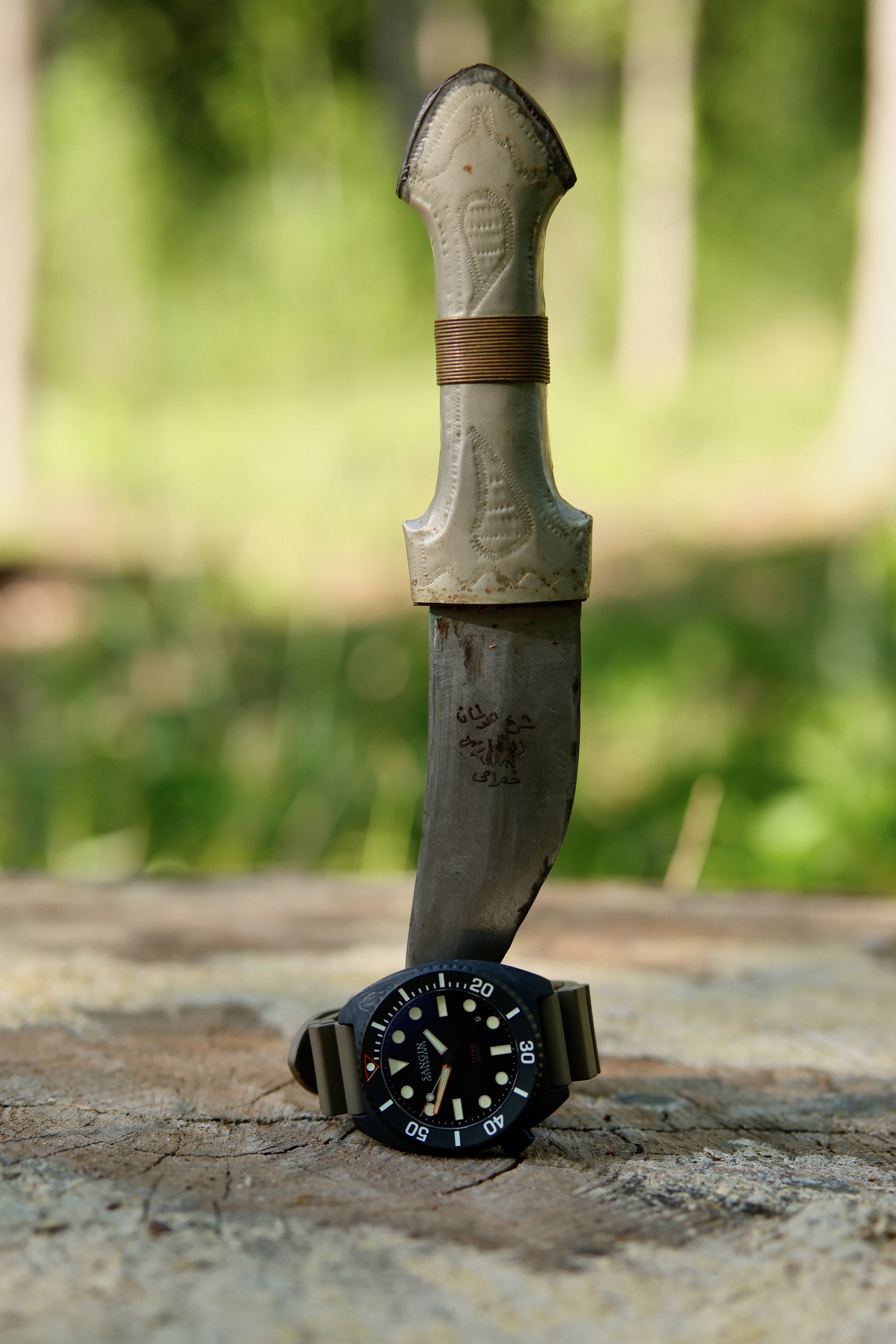 DSCF8108.jpg