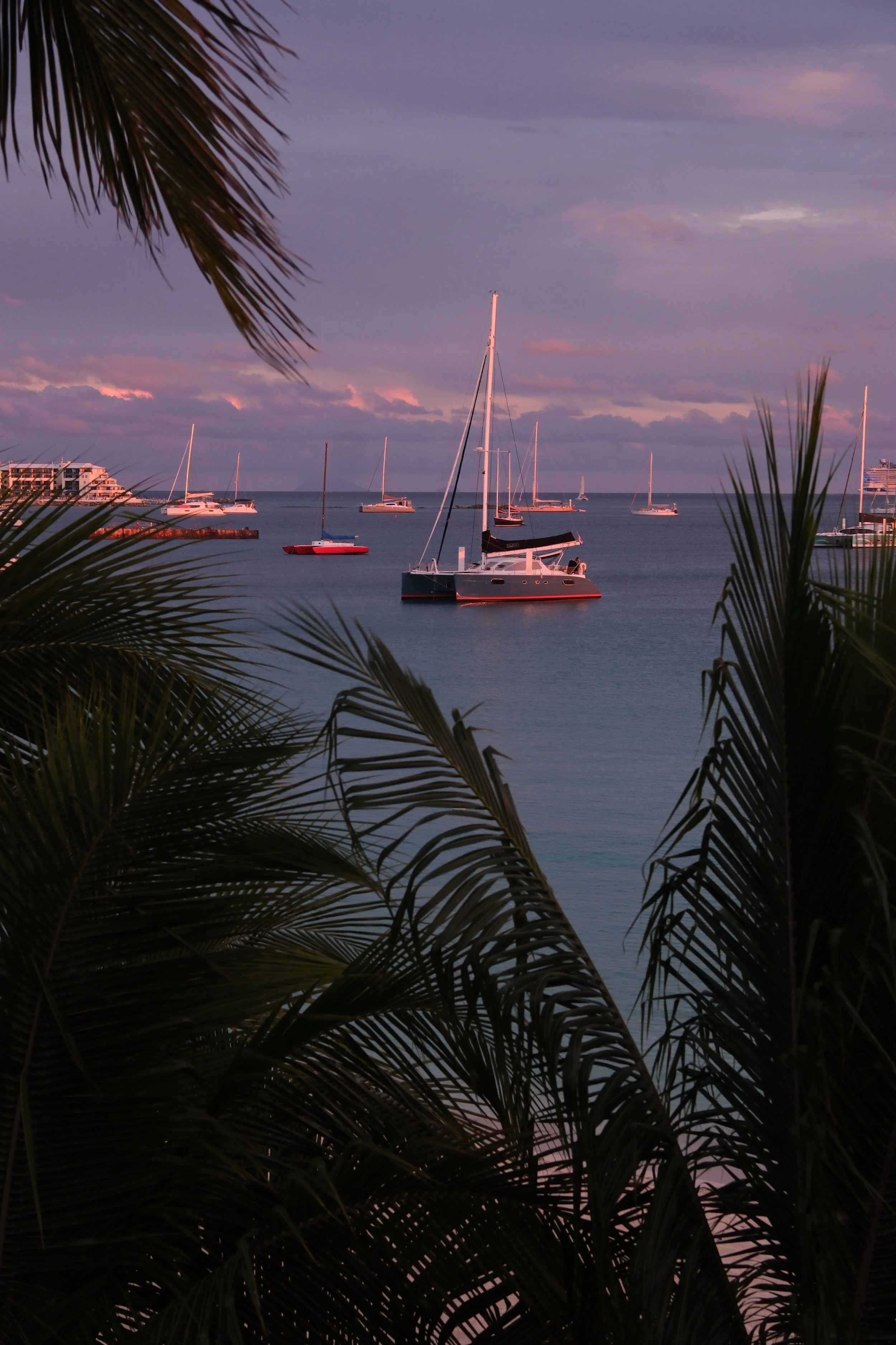 DSCF3683.jpg