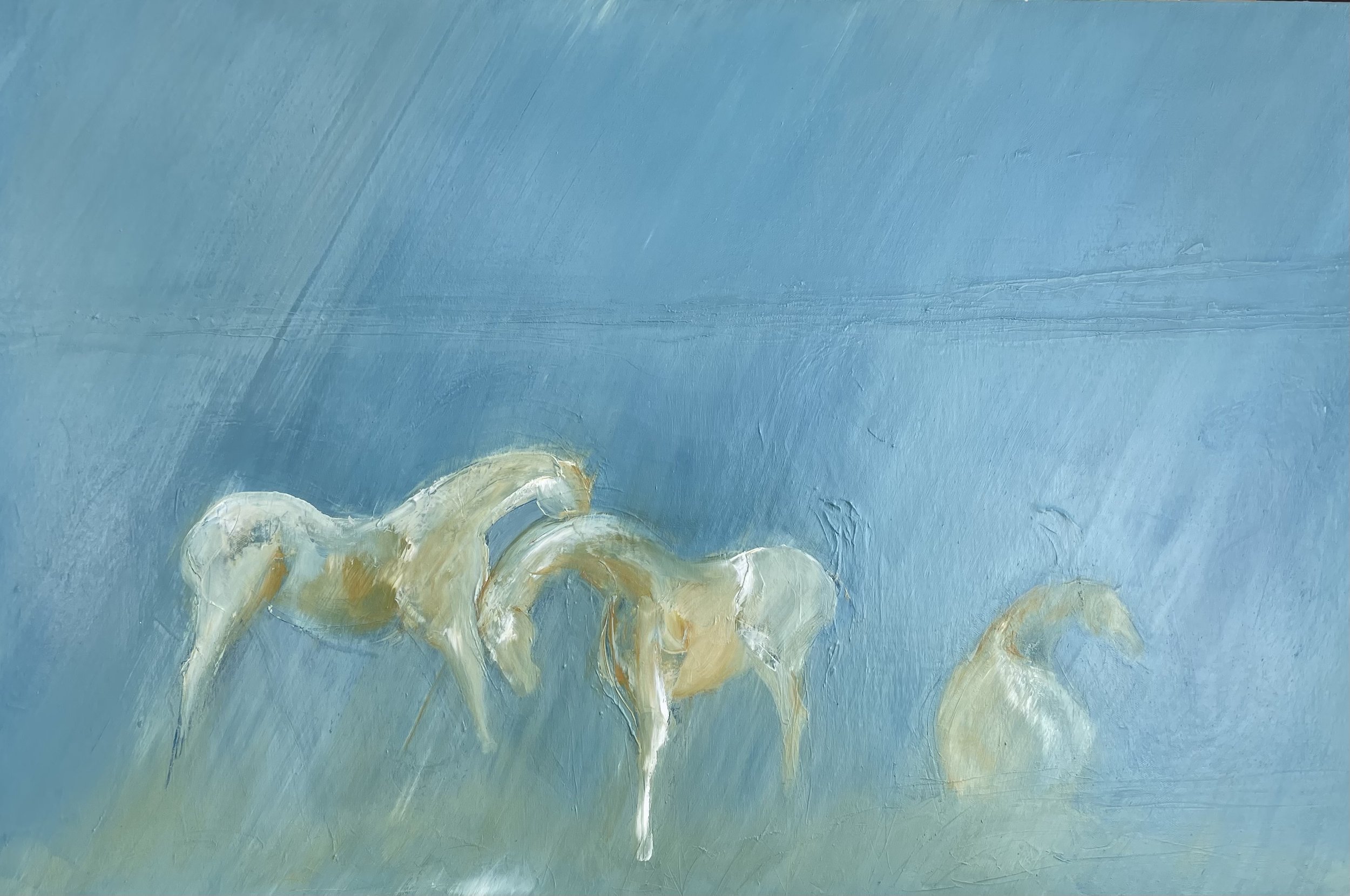 Rain on the Plain