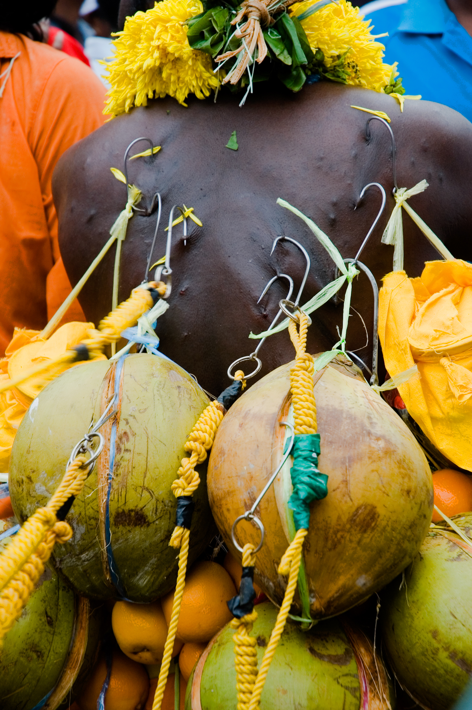 wb_thaipusam_back_fruit.jpg