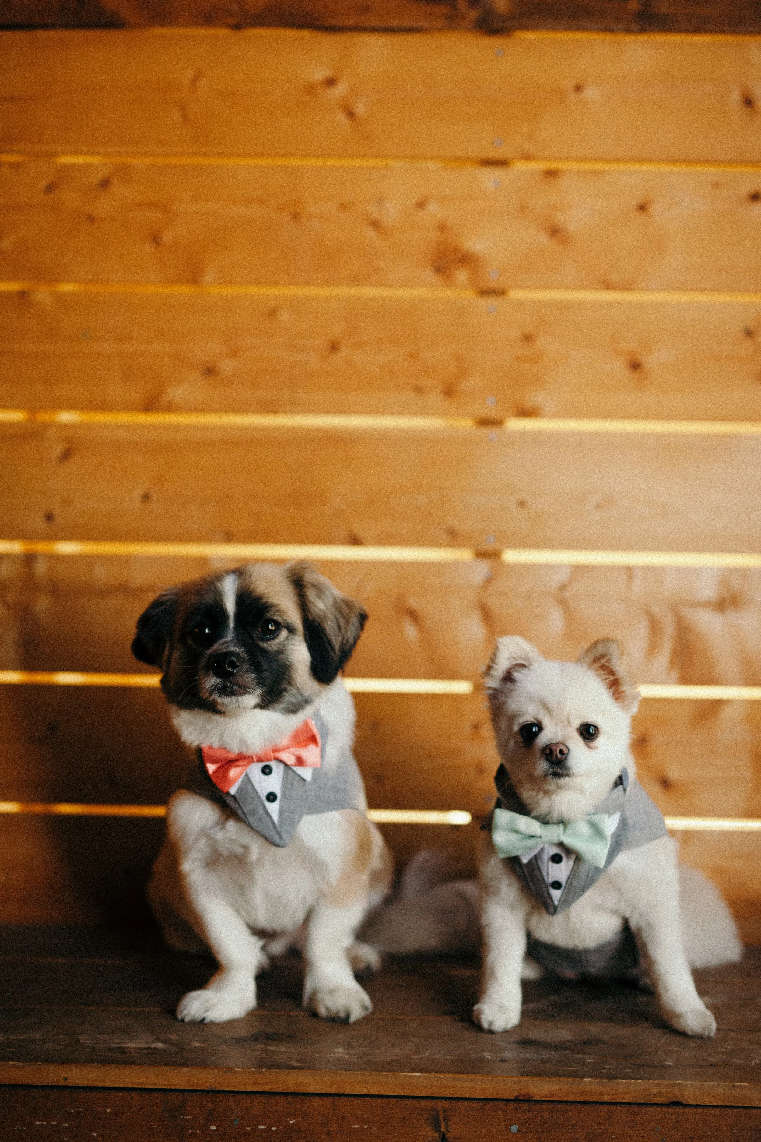 derek + casey-76-4K.jpg