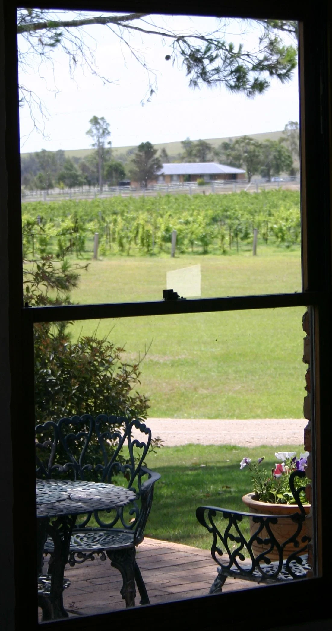 window tasting room1.jpg