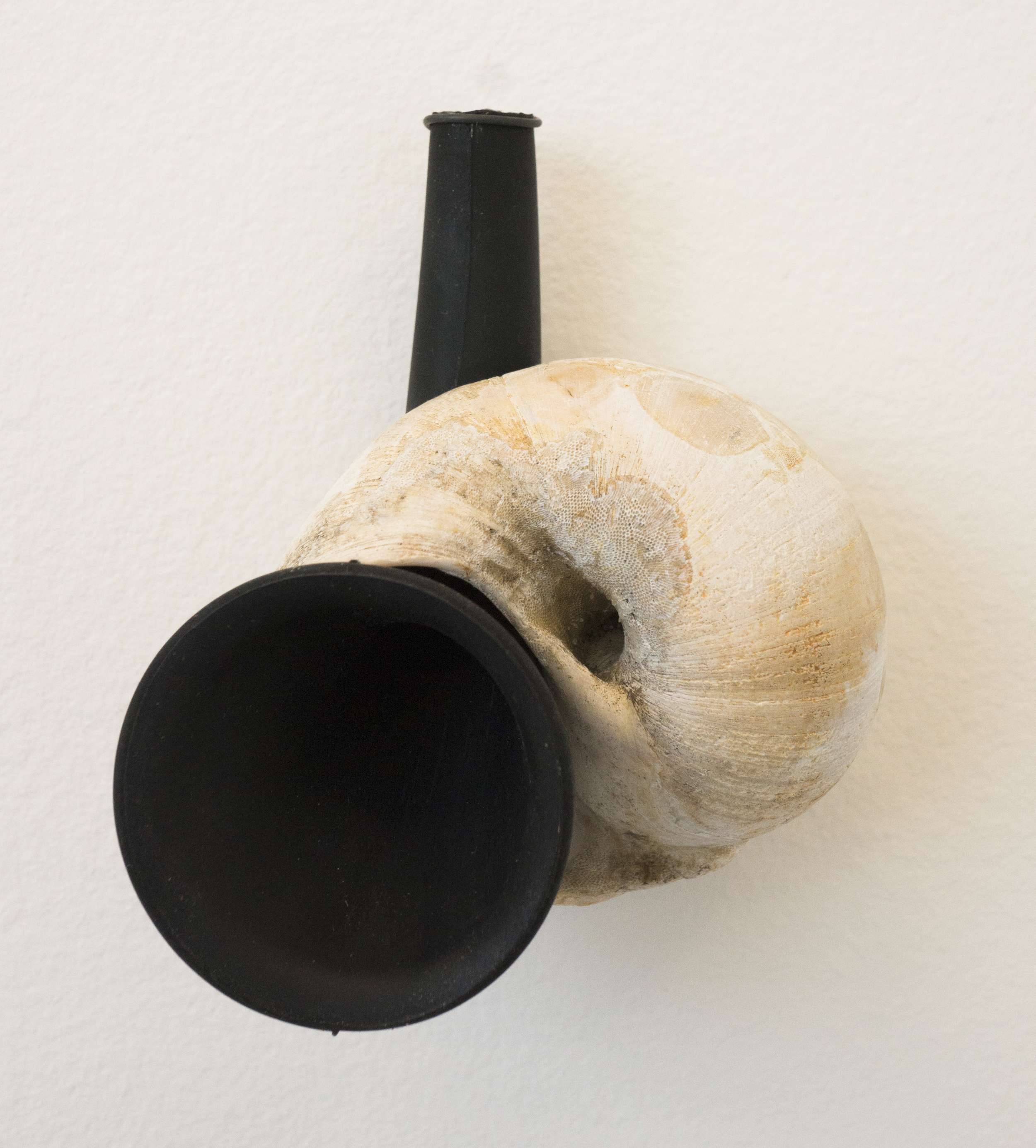 amplify, shell, silicone, 5.5 x 4.5 x 3in.
