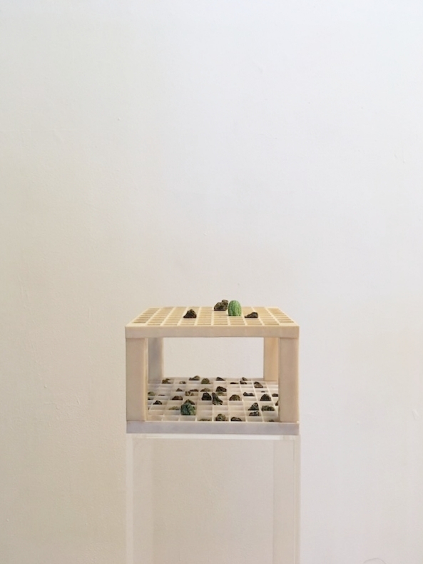 we all fall down , plastic, cucamelons, 27x6x6in.
