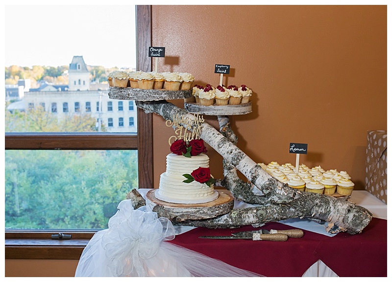 Appleton-wedding-Green-Bay-photographer-favorite-moments-best-of-2015-Gosias-Photography-rings-cake-004.jpg