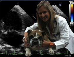 doctorcarleyonechobigpic.jpg