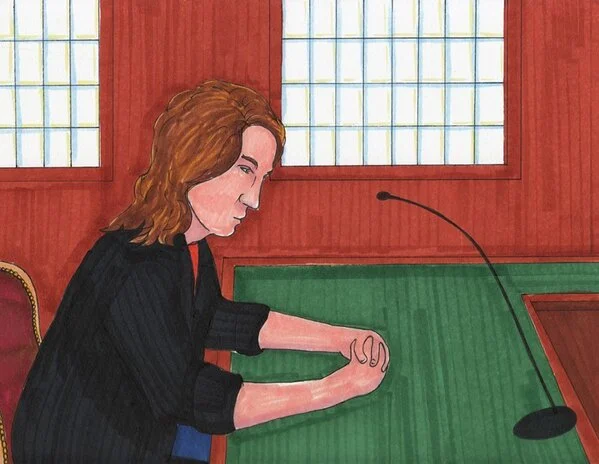 Jeremy Hammond - Art by @WikileaksTruck