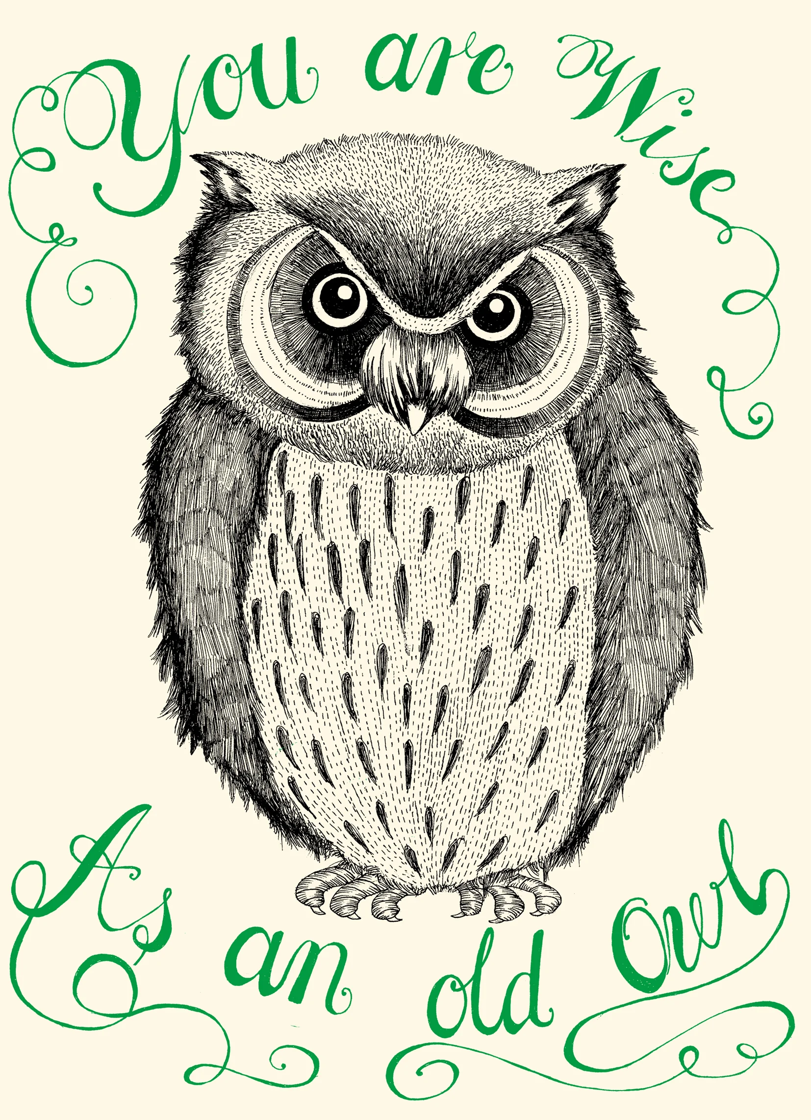 Old owl
