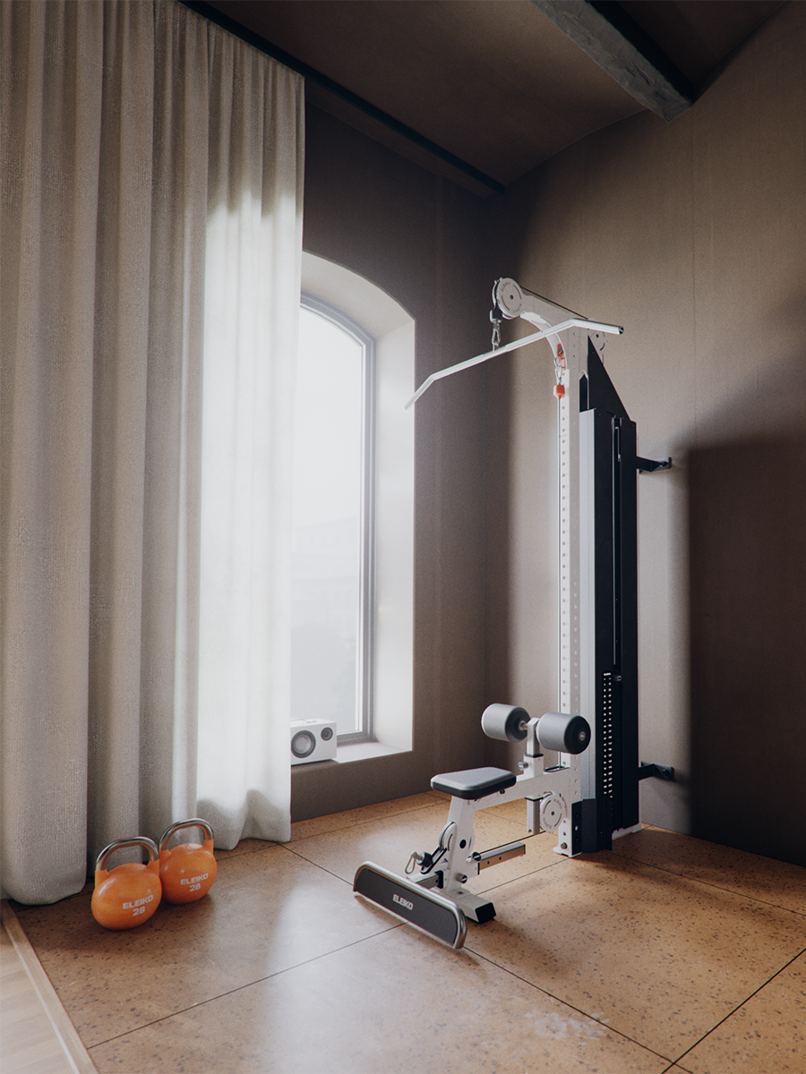 Luxury Home Gym with Eleiko Lat Pulldown.png