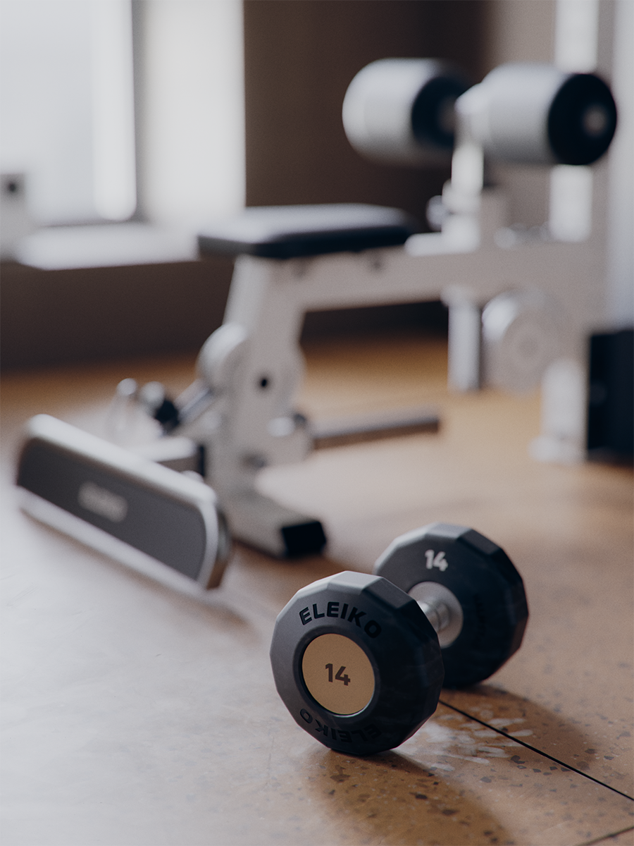 Eleiko Dumbbell with Lat Pulldown.png