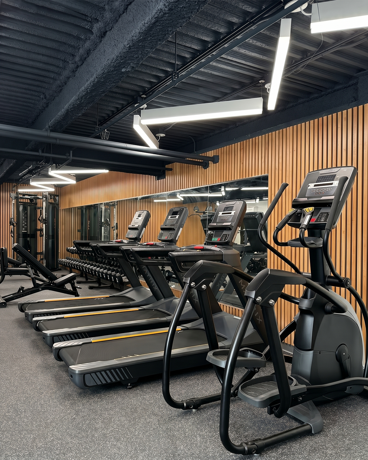 Luxury high school gym.png