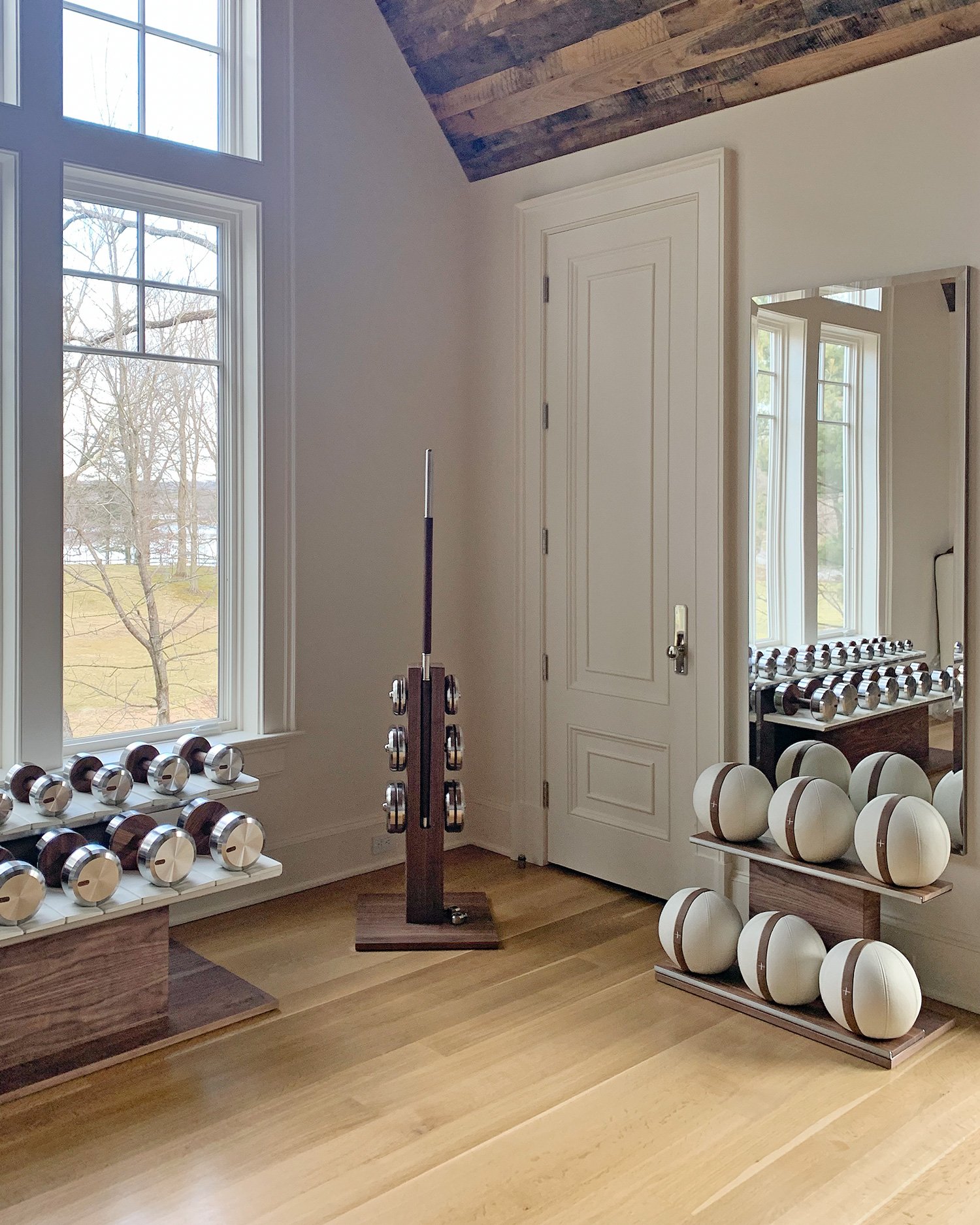 Luxury-home-gym-with-PENT-equipment.jpg