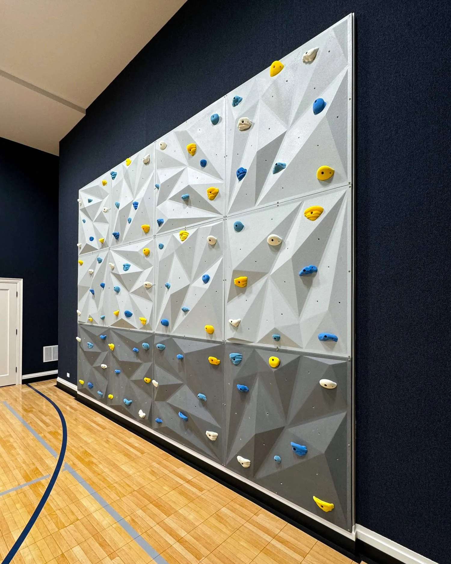 Luxury-rock-wall-home-gym-Hindsdale.jpg