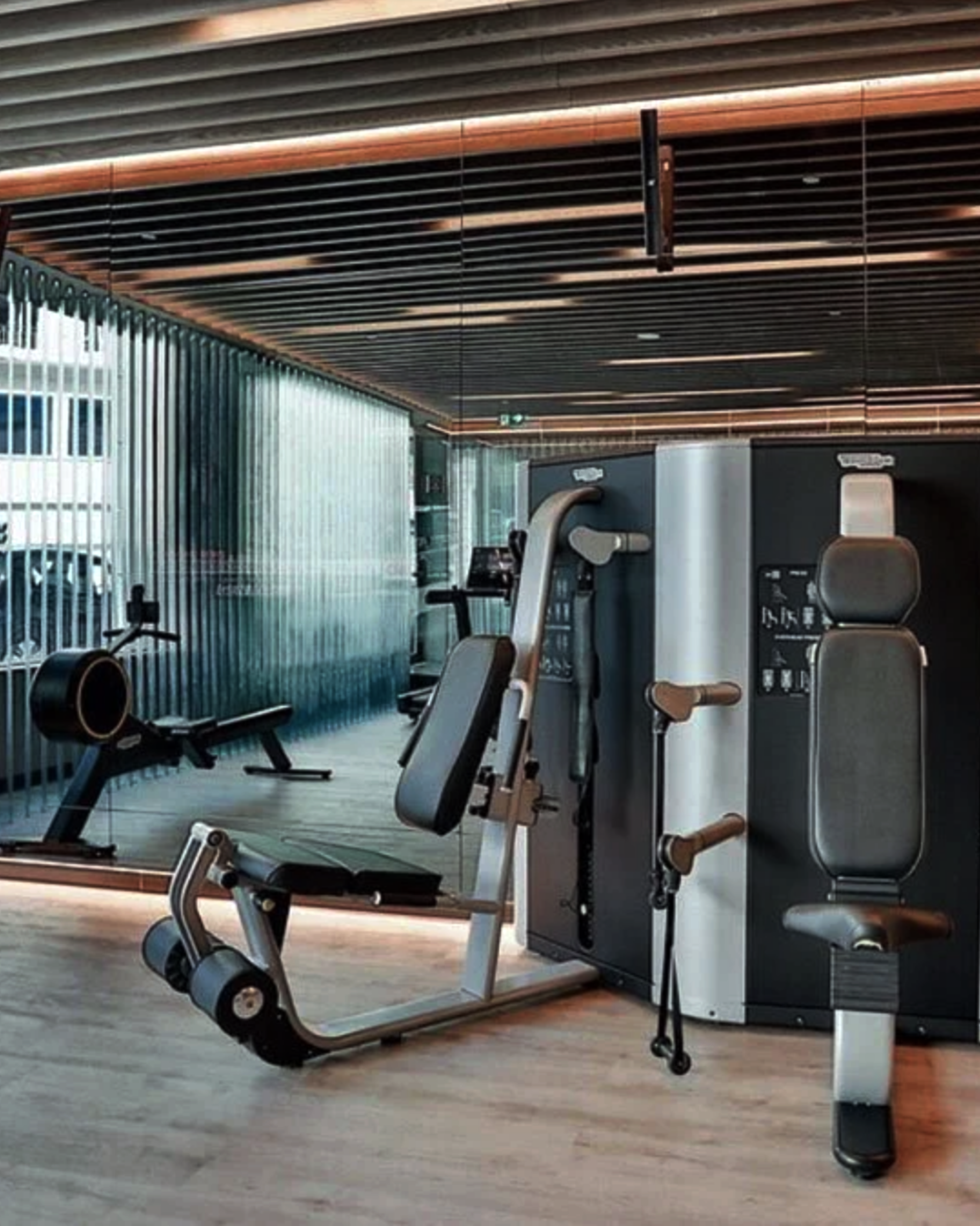 Luxury hotel Gym with Technogym.png