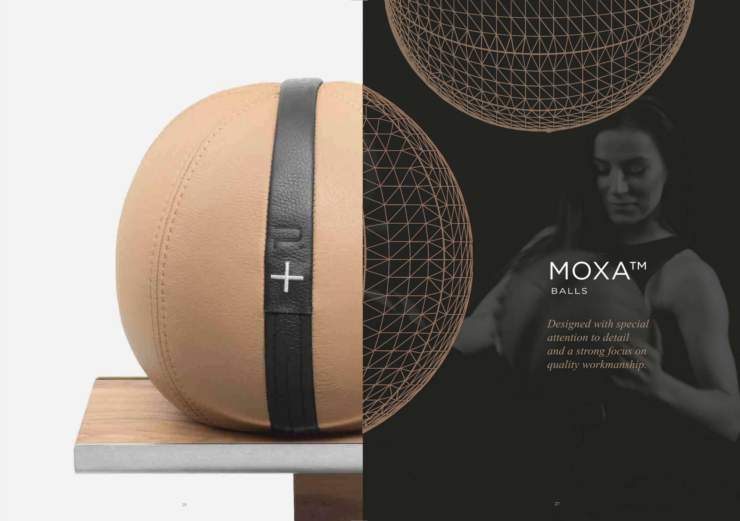 13 Close-up of a PENT Moxa Medicine ball.png