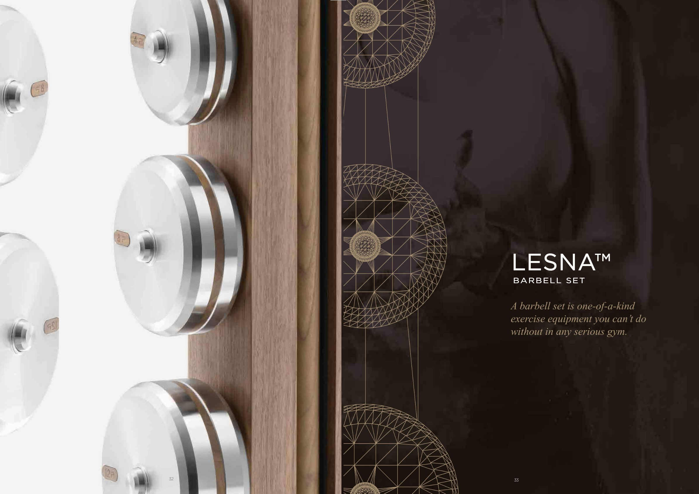 16 Close-up of the PENT Lesna barbell plates.png